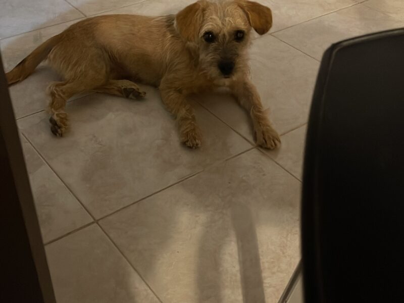 PEQUE