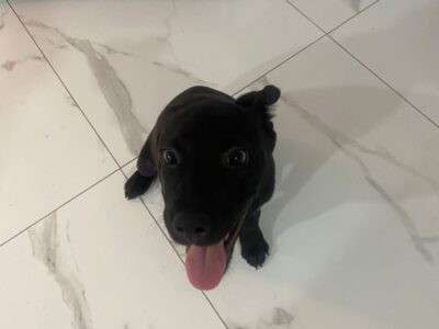 OSO