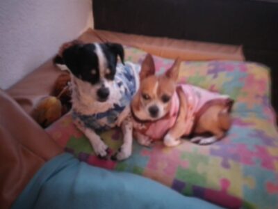 MANCHITA y TOBY