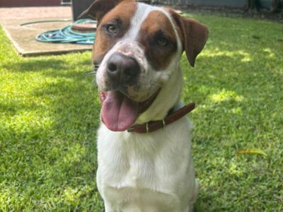 Gus