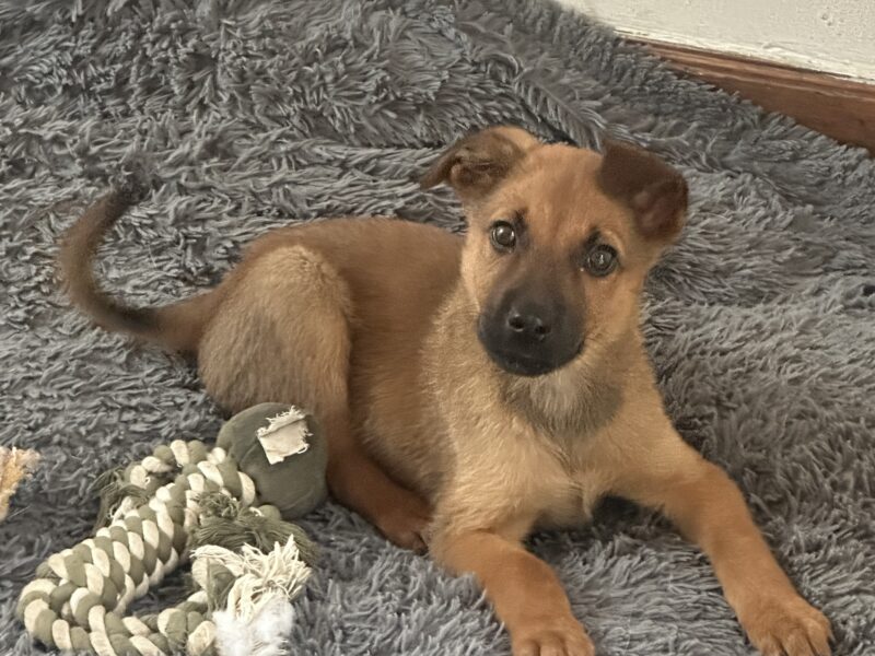 MATILDA