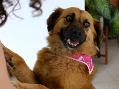 CARMELA