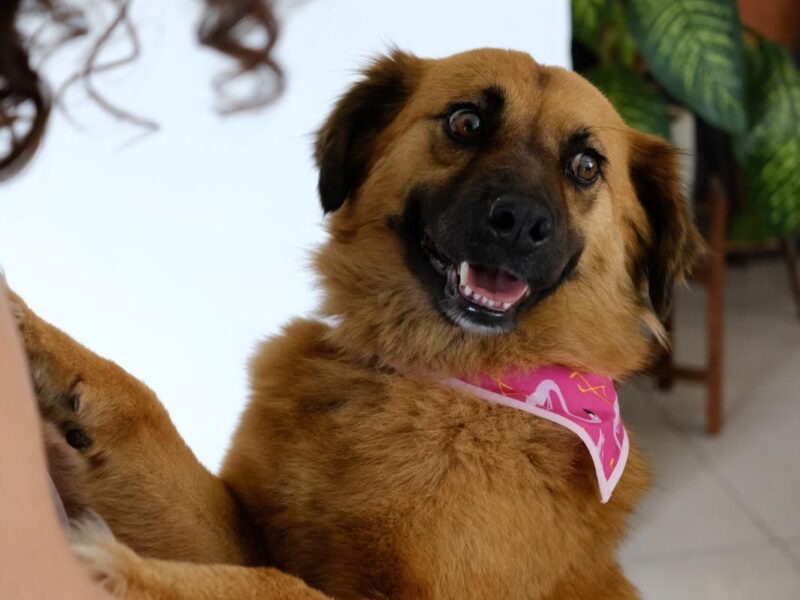 CARMELA