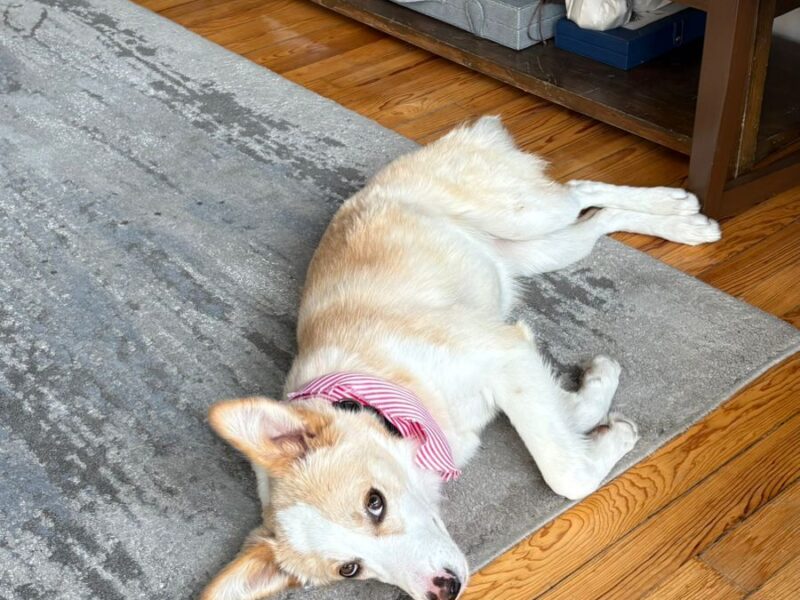 LUCY