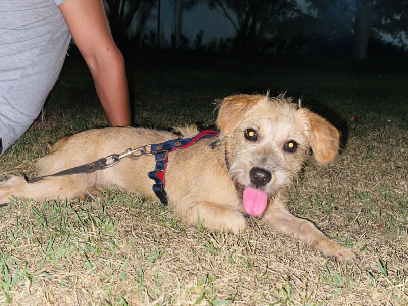 PEQUE