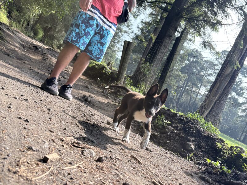 BEBÉ