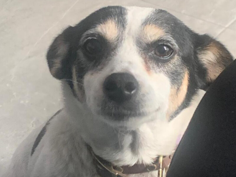 MOLLY LU