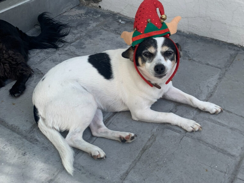 MOLLY LU
