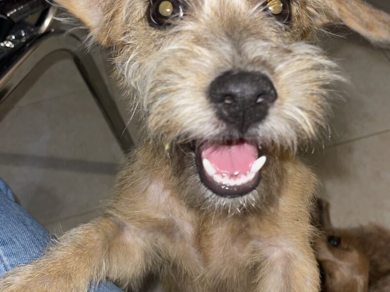 PEQUE