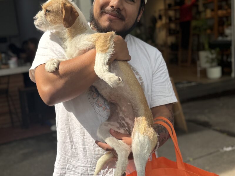 KANDY