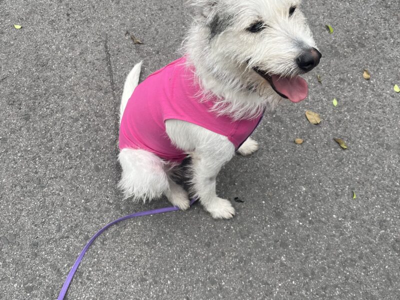LUNA