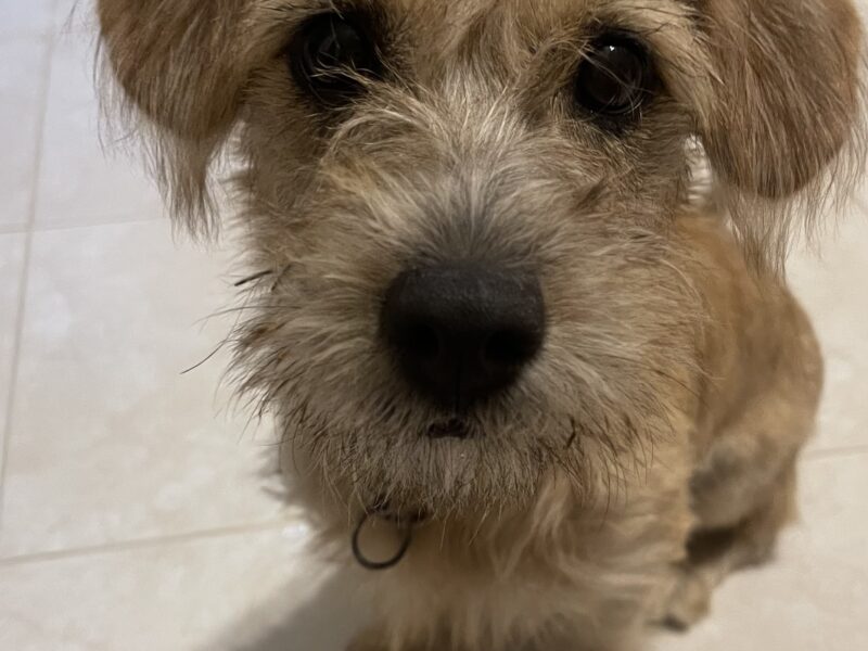 PEQUE