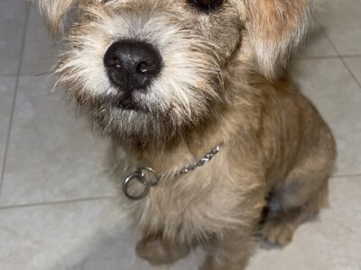 PEQUE