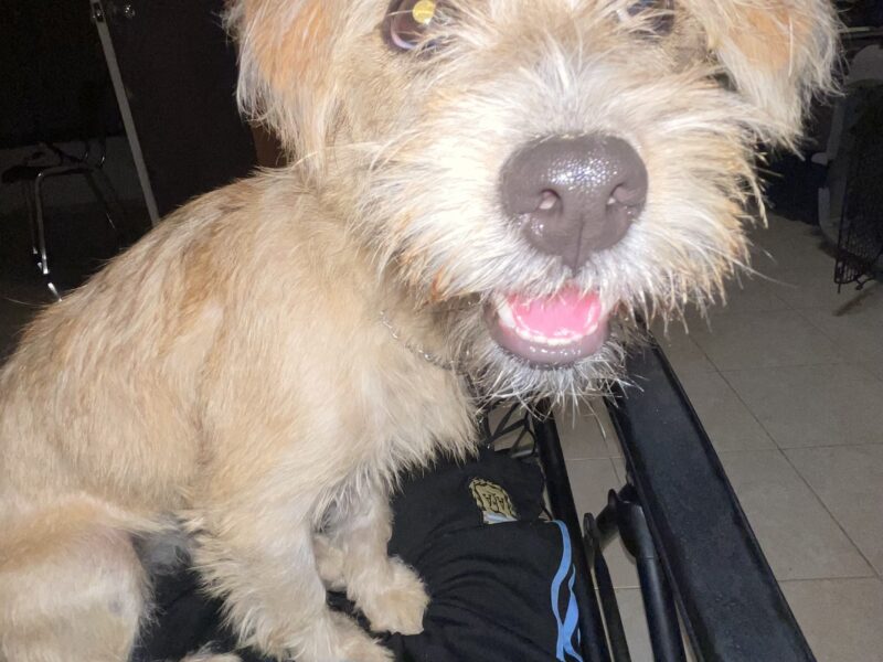 PEQUE