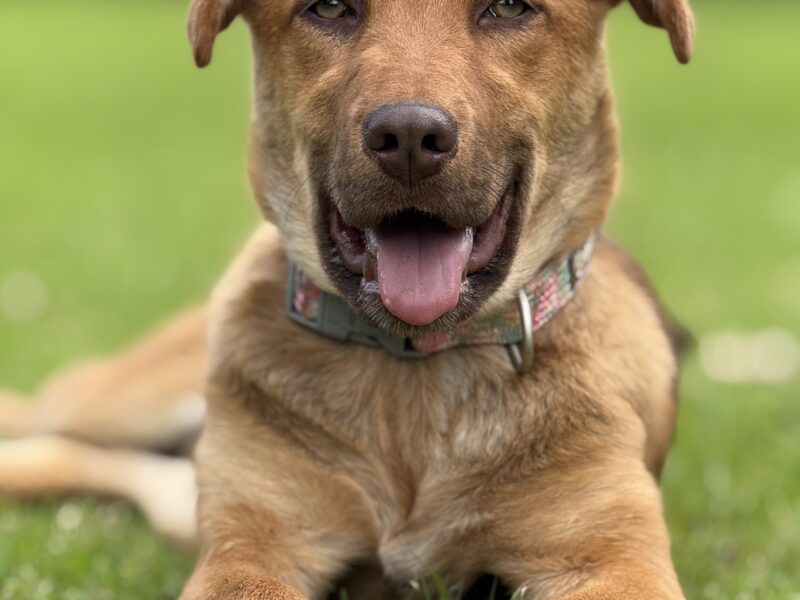 KAIA