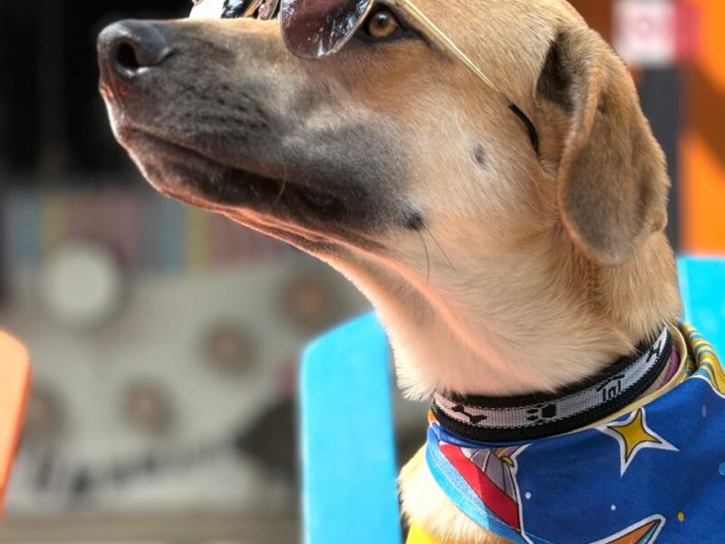 AQUILES