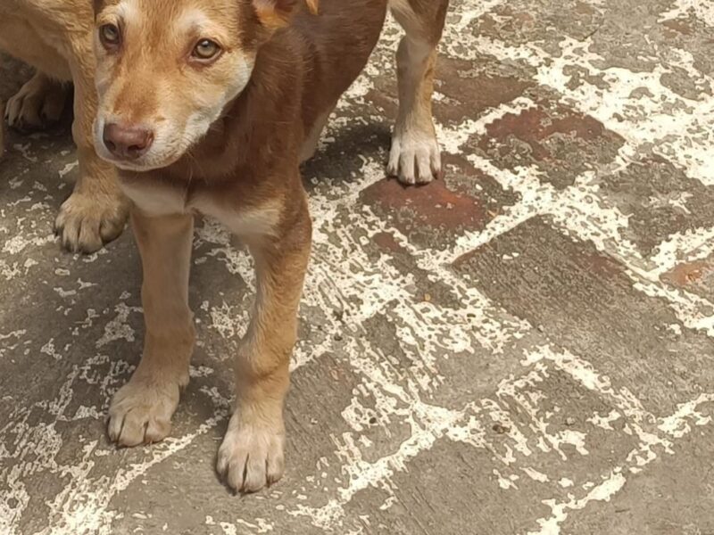 OJOS BELLOS