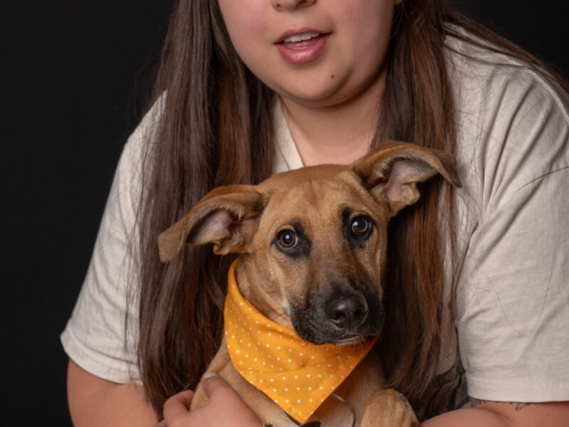 ARYA
