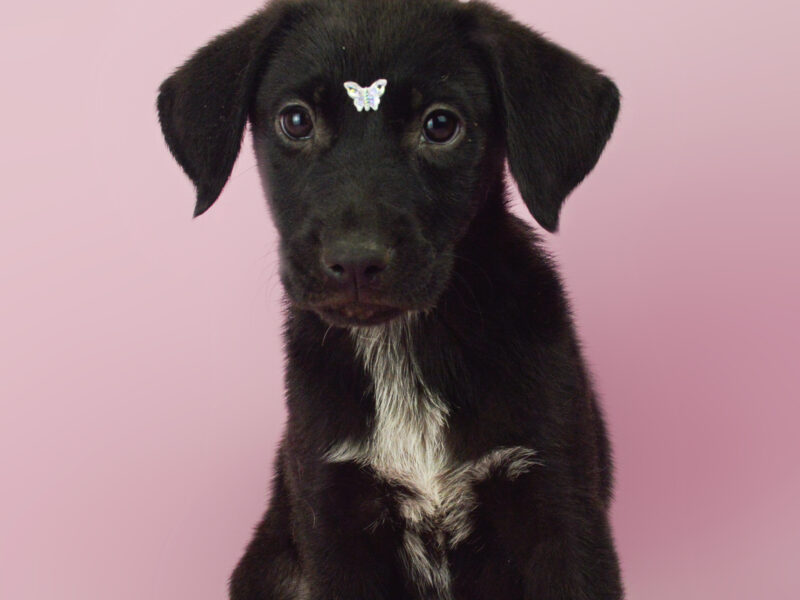 LUNA