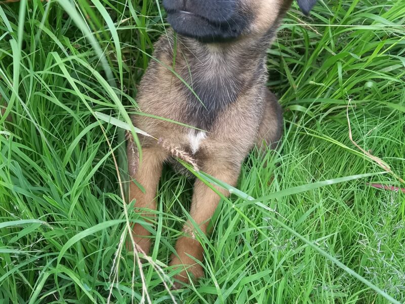LUNA