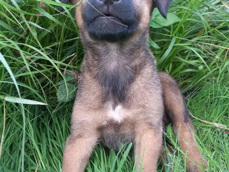 LUNA