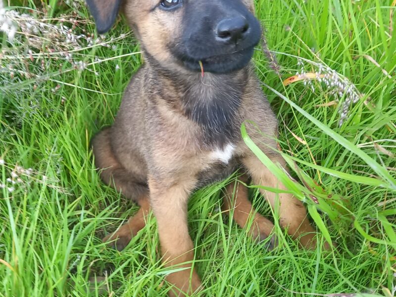 LUNA