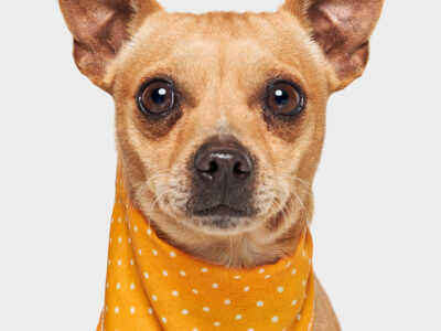 PANCHITO