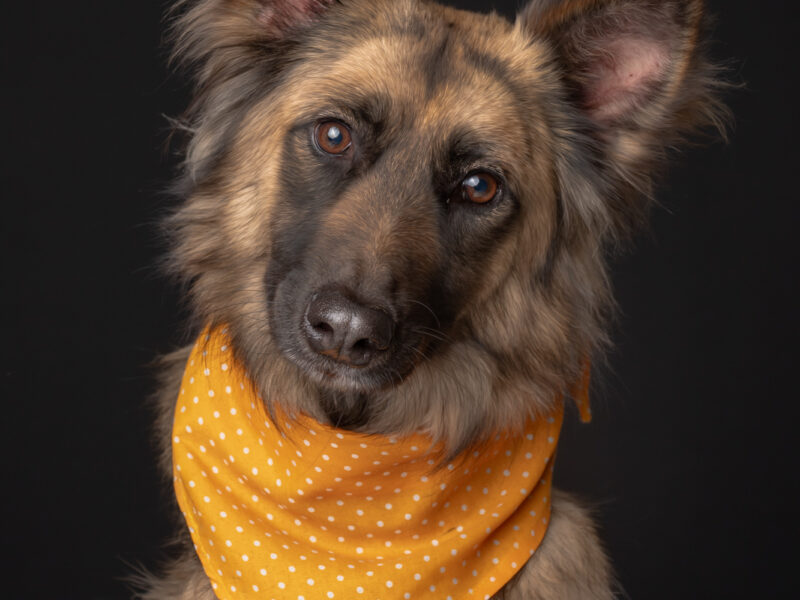 DANKA