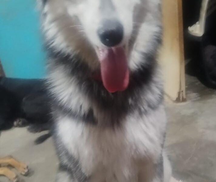 RUTILA