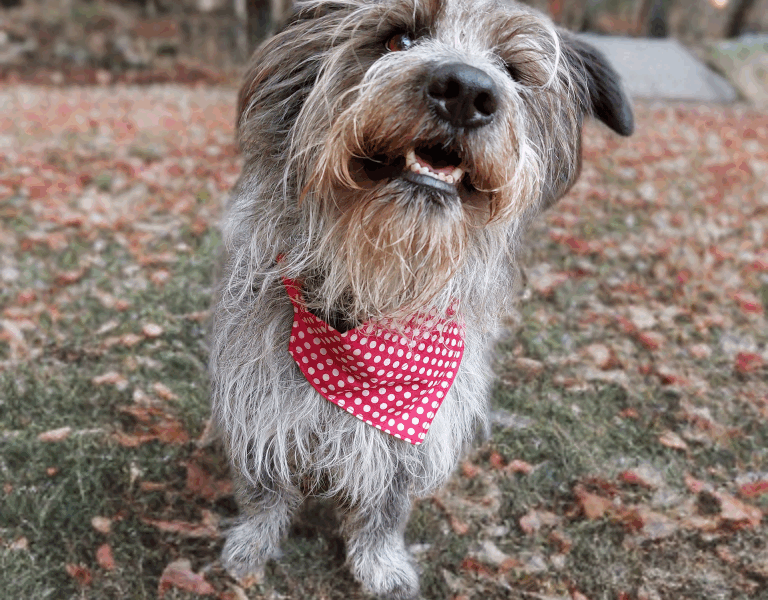 TOTO