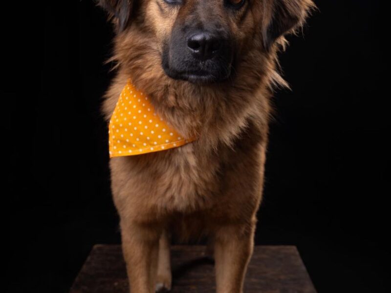 CARMELA