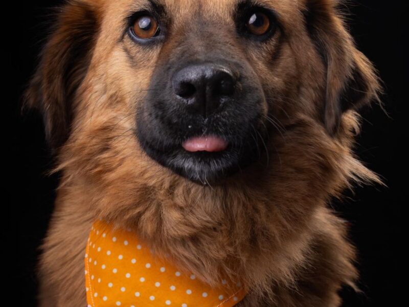 CARMELA