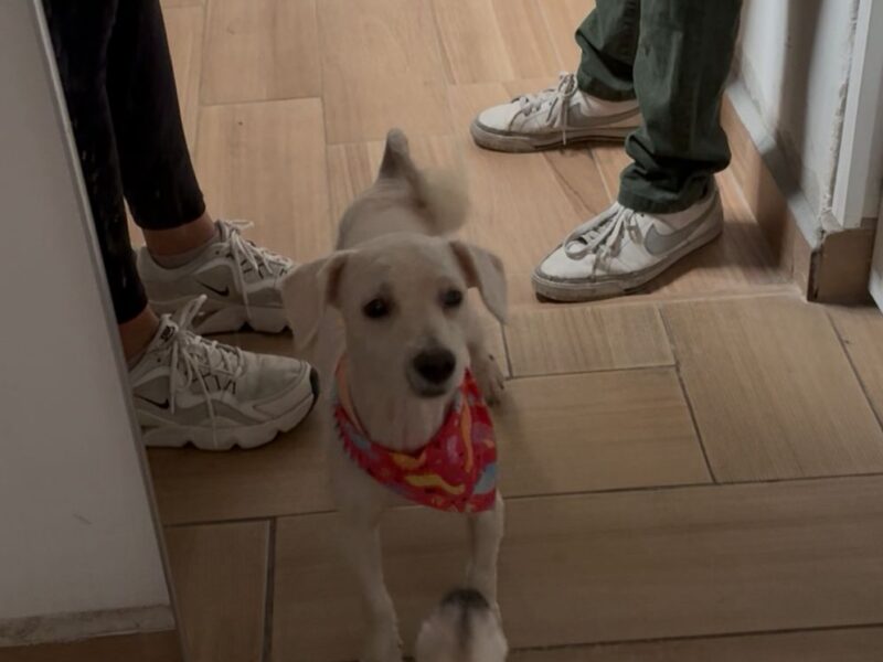 KRYPTO