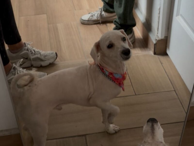 KRYPTO