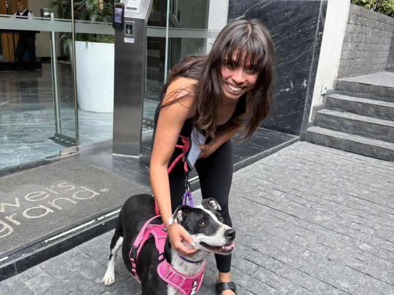 BRUNA