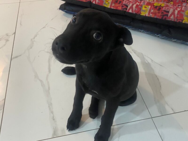 OSO