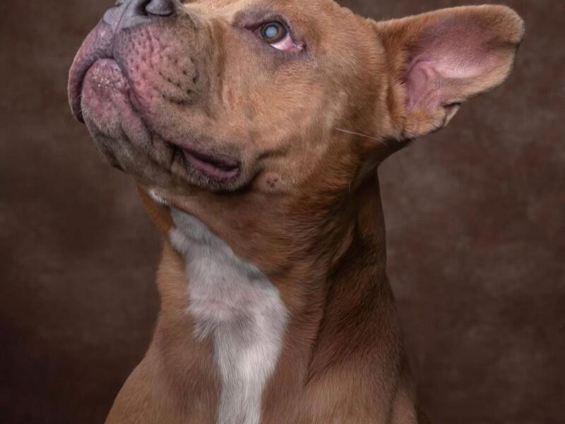 ROXY