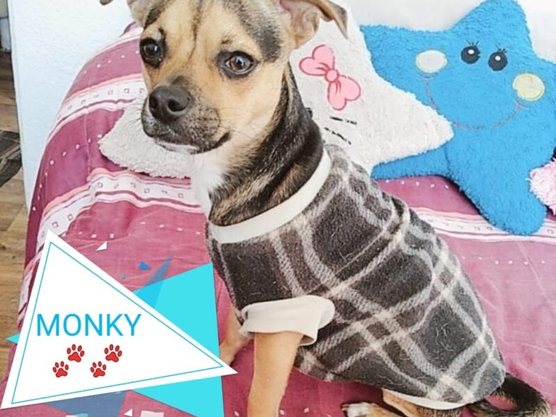 MONKY Y KELLY