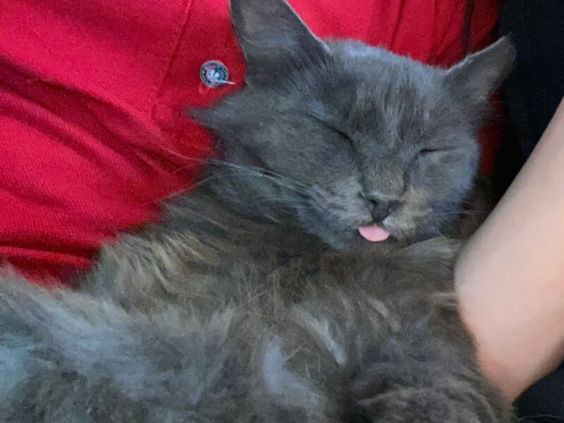 MILO