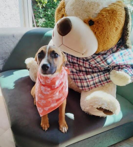 KEYLA