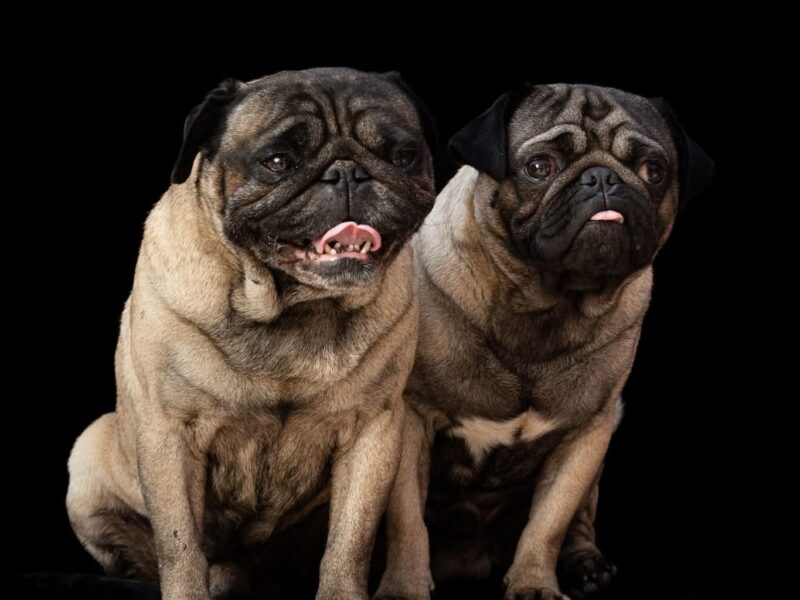 PEDRO y BETO