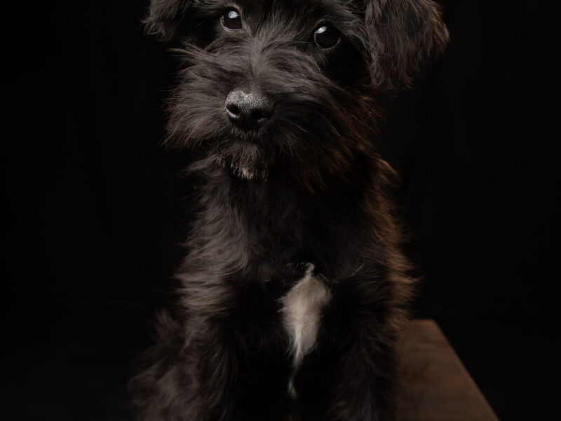 TUCITA