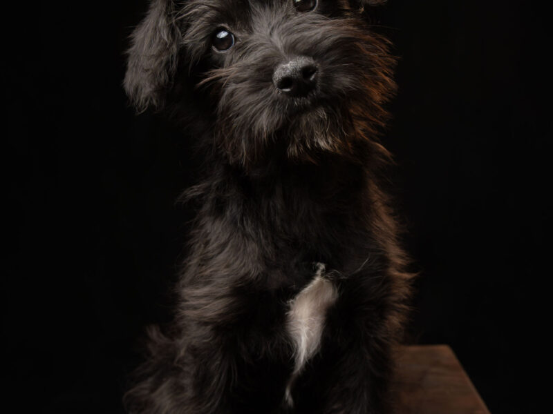 TUCITA