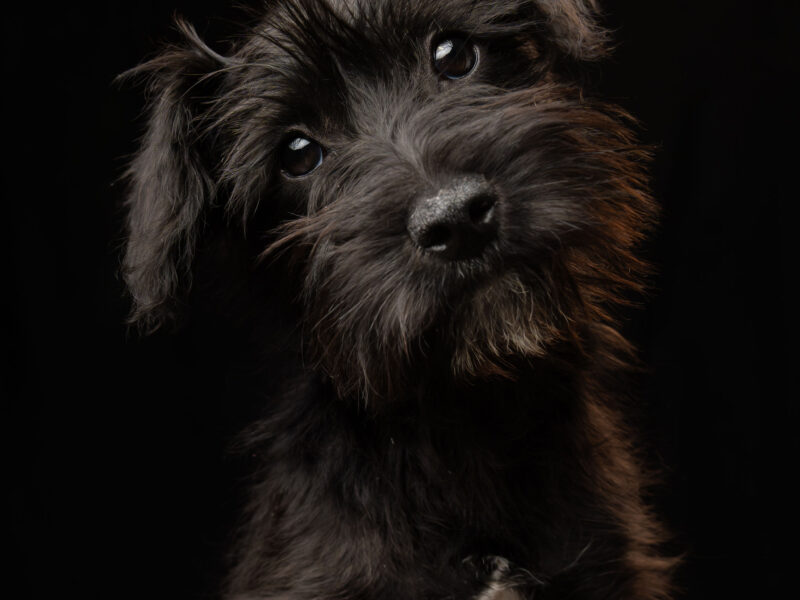 TUCITA