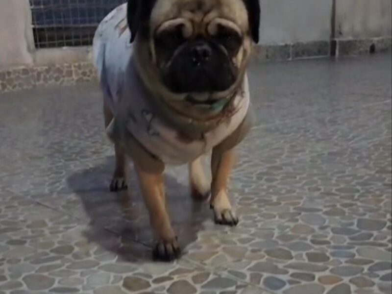 FARTUCO