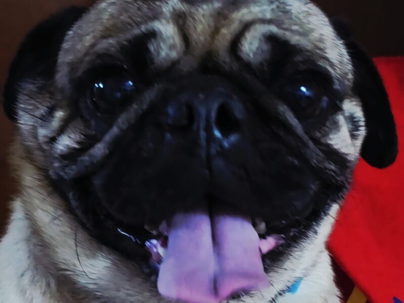 FARTUCO