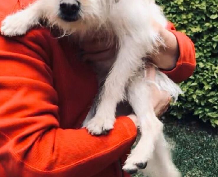 ENZO