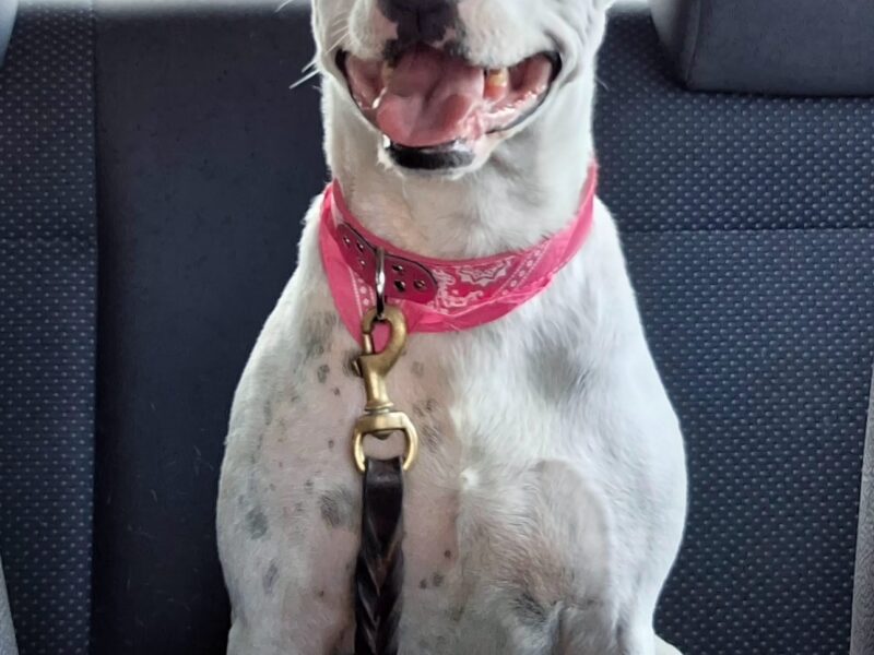 GÜERITA