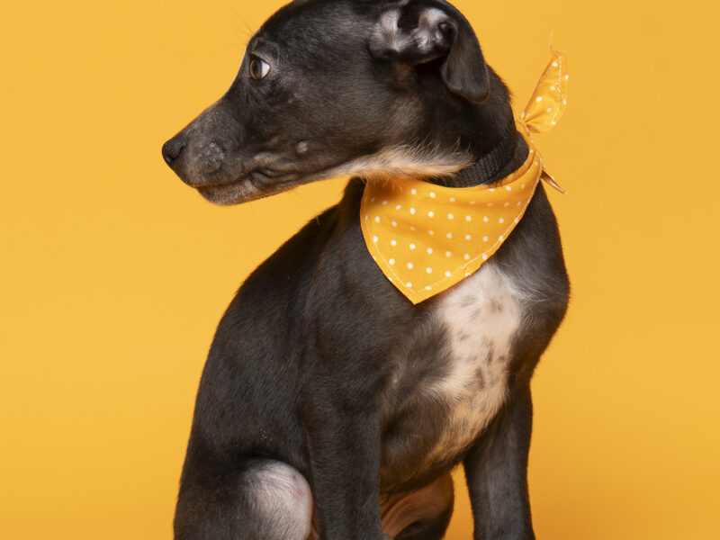 BENITO