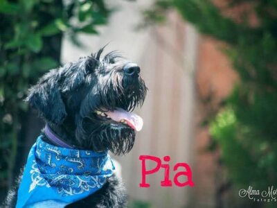 PIA